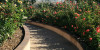 California Rose Garden