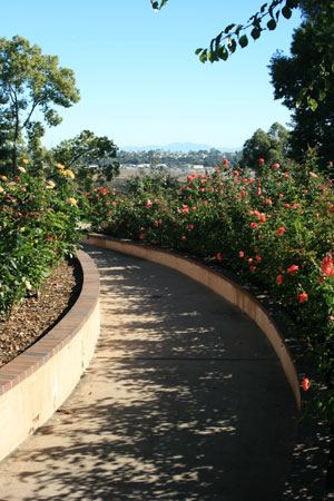 california public rose garden