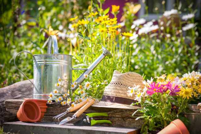 garden tools