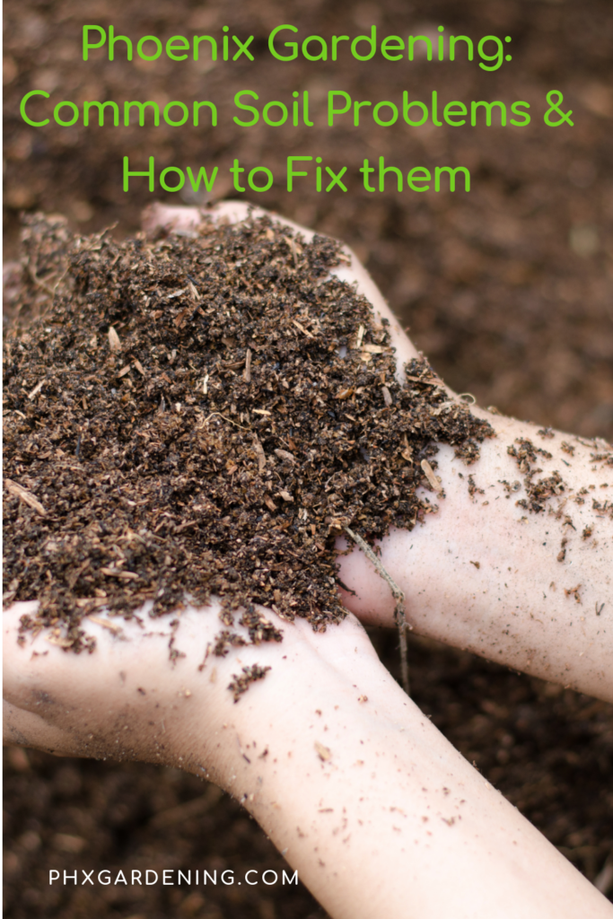 common garden soil problems and how to fix them