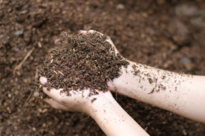 garden soil