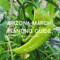 March Planting Guide