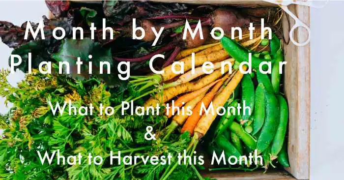 monthly garden calendar