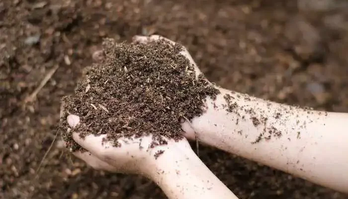 soil
