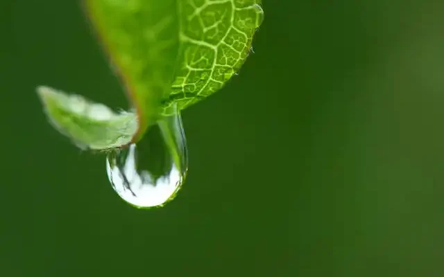 water