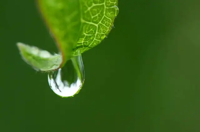 water