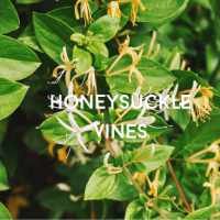 honeysuckle