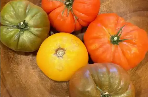 bowl of heirloom tomatoes