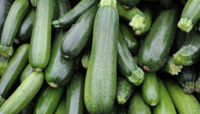 zucchini crop