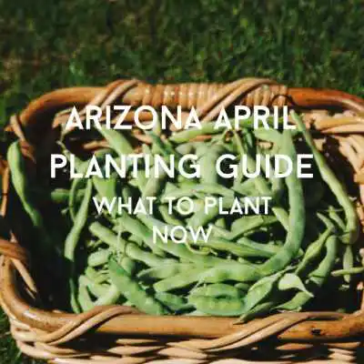 april planting guide