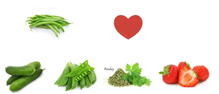 beans love