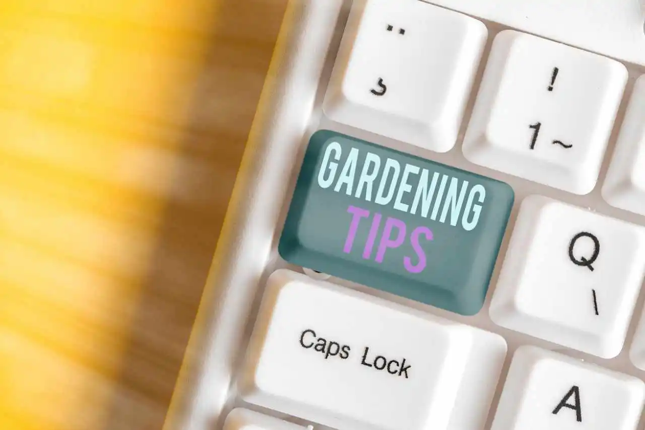 Gardening tips