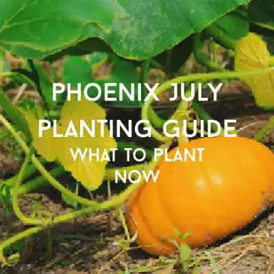 July planting guide