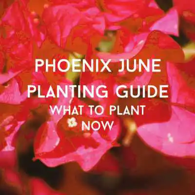 June planting guide