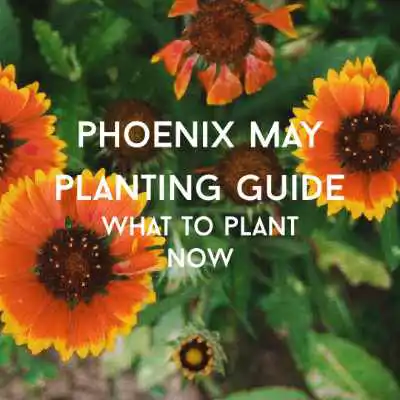 may planting guide