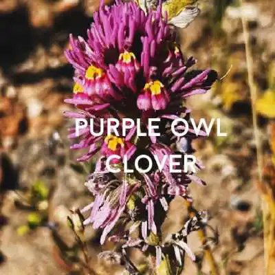 Purple Owl Clover