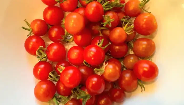 cherry tomatoes in a bowl
