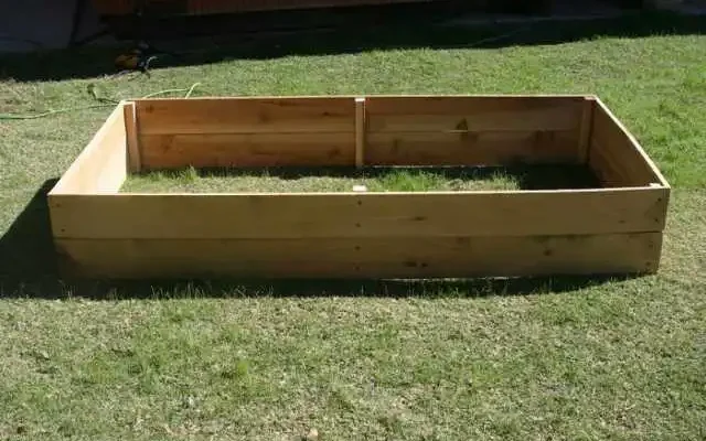 raised bed garden