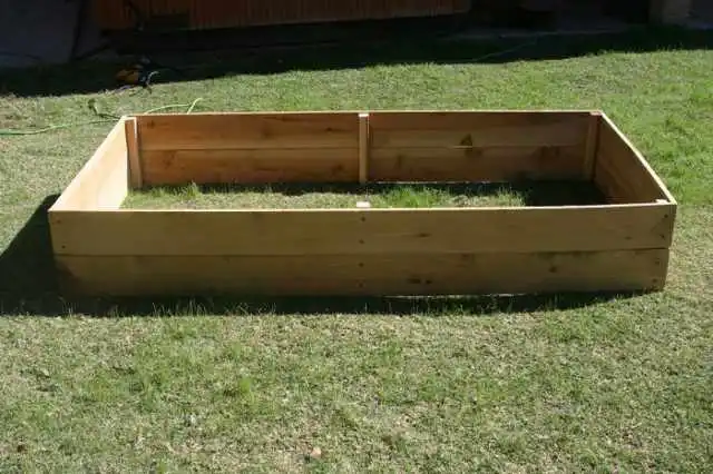 raised bed garden