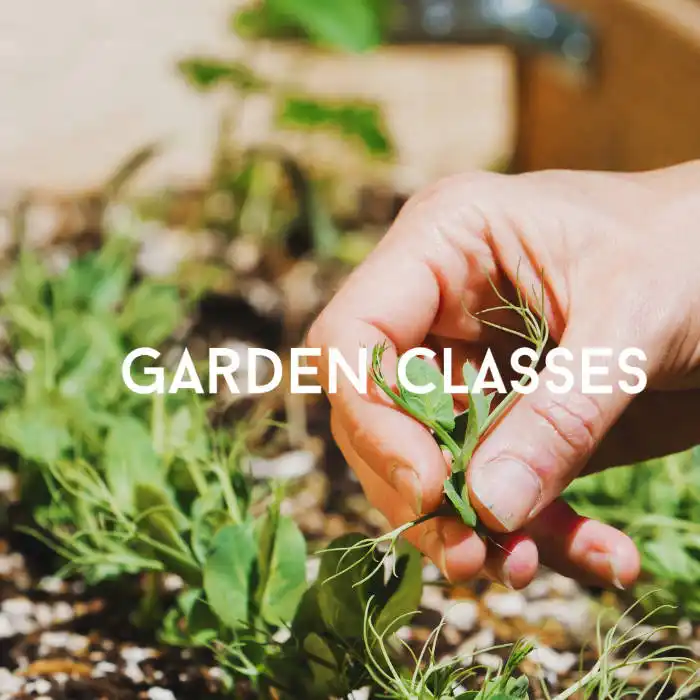 garden classes