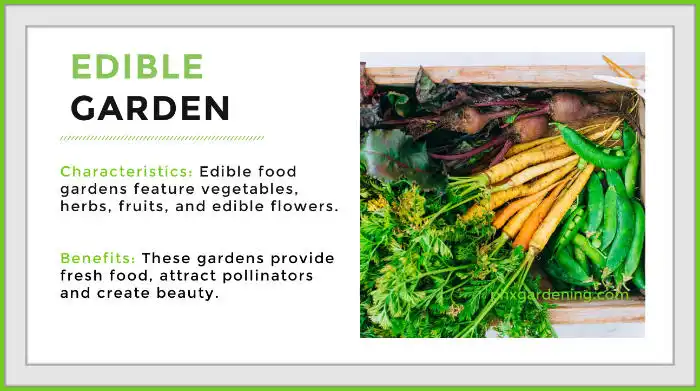 edible garden