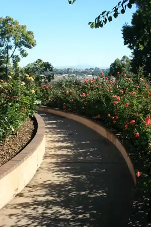 CA rose garden