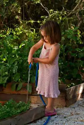watering garden