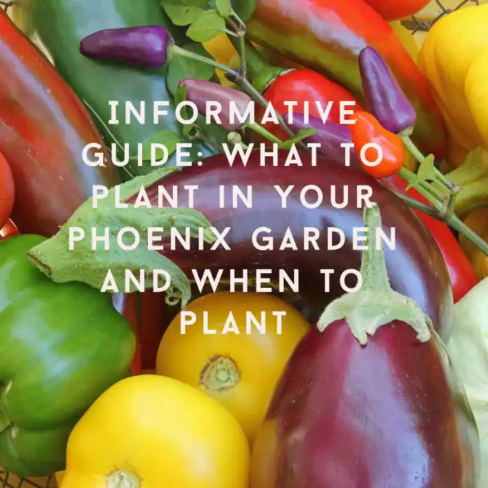 what to plant and when