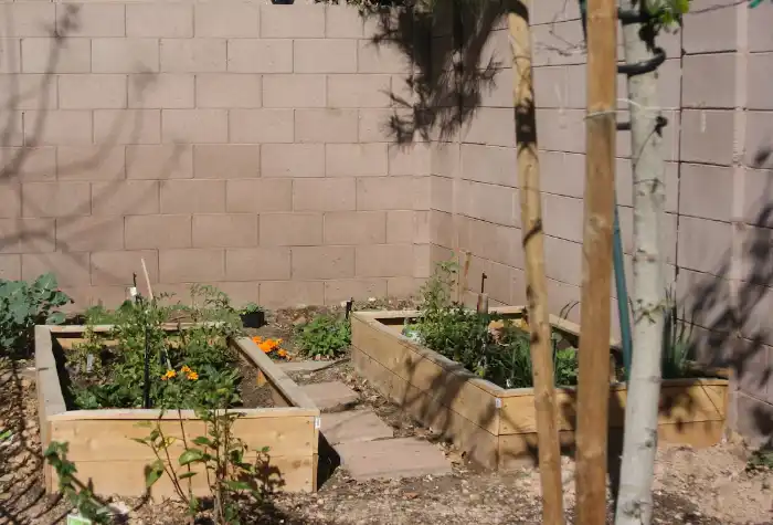 raised bed garden